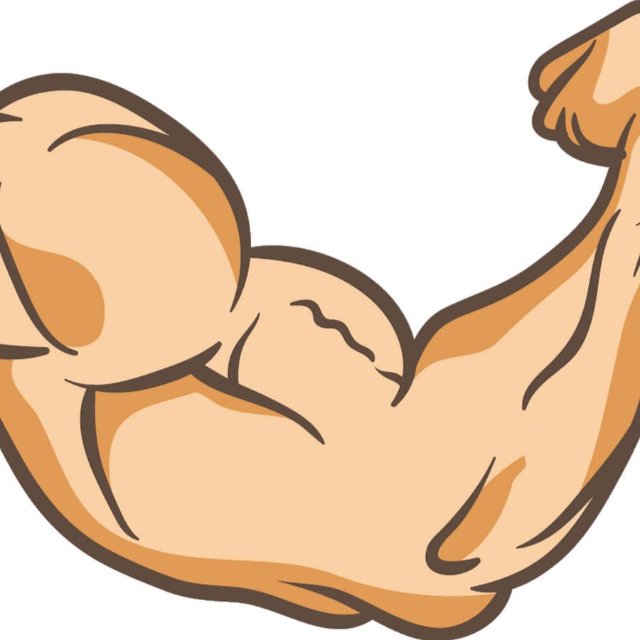 Бицепс рисунок простой