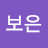 김보은