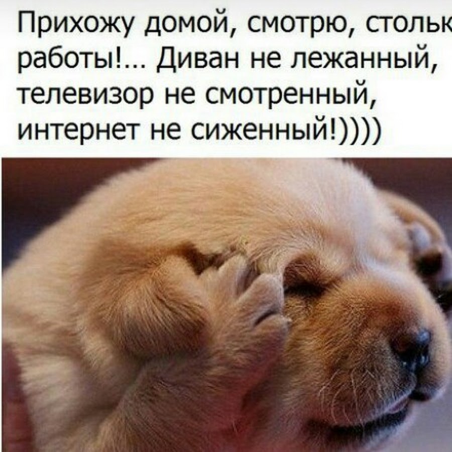 прихожу домой на столе записка