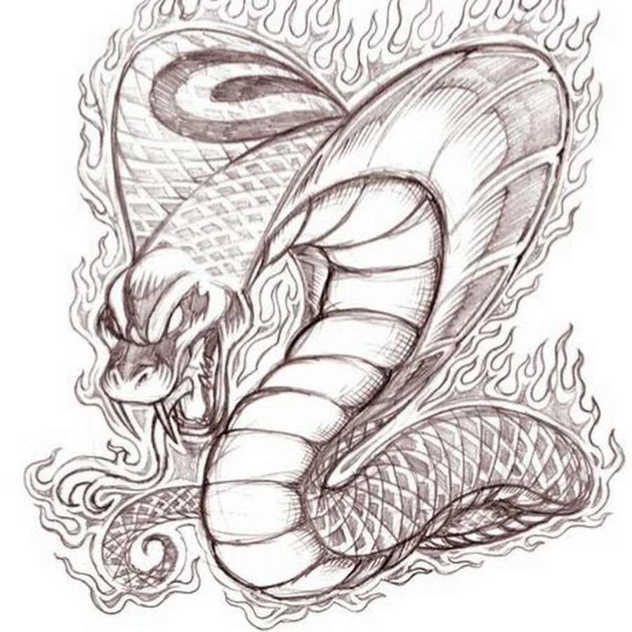 Анаконда тату эскиз