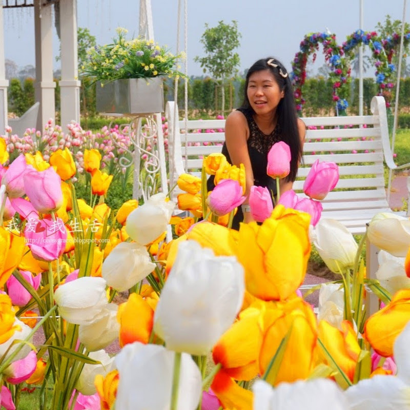 Grace Yeoh - 網紅的藏寶箱 