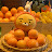 꿀사리
