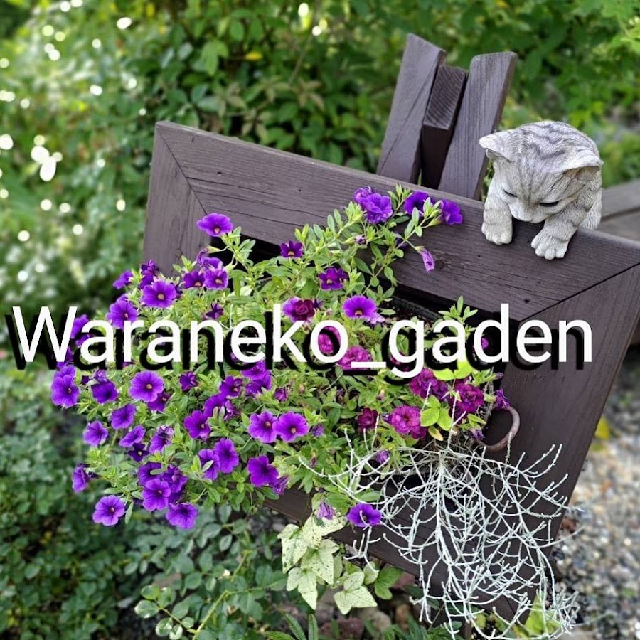 ガーデニング女将の庭作り Waraneko Garden Youtube