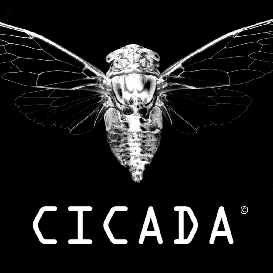 цикада квест. символ цикады 3301. цикада 3301 квест для хакера. цикада 3301 первый квест. цикады квест.