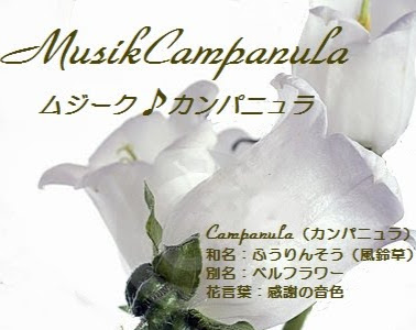 √画像をダウンロード 花 和名 花言葉 263153