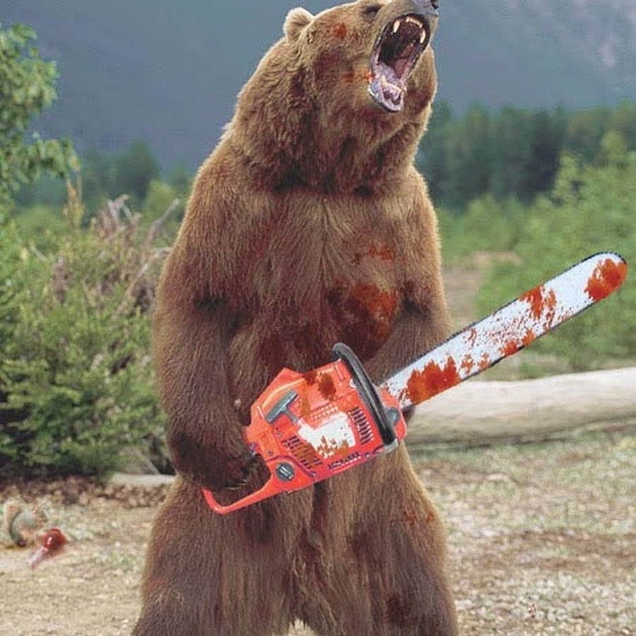 Пьяный медведь картинки