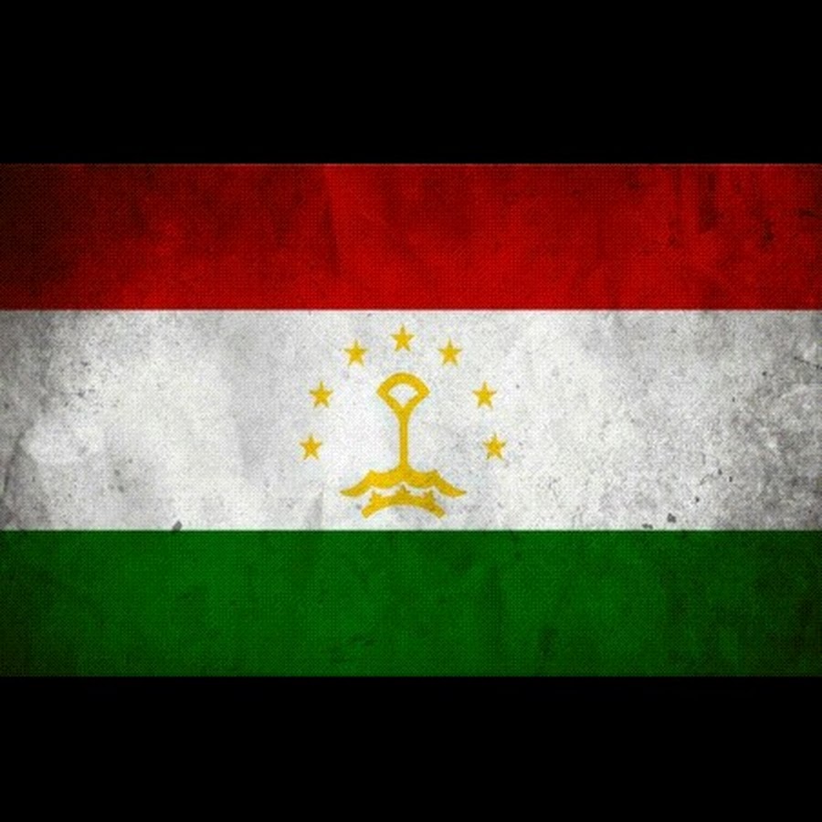 Tadzjikistan Flagga På En Grå Bakgrund Också Vektor För Coreldrawillustration St