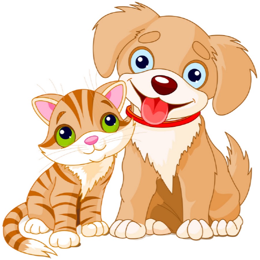Кошечки собачки для детей