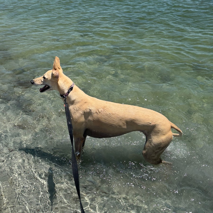 AKedOLTzchx_SSpsED1YiM2gUGMl2MZ99YrVnuWo1HgQ=s900ckc0x00ffffffnorj