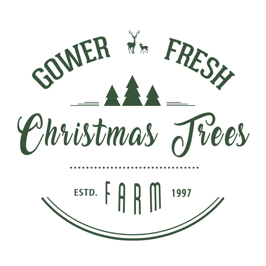 AKedOLT0PWn9ptWAIHVih3qttVjoGPcIH1Ezn6YZa3=s900ckc0x00ffffffnorj