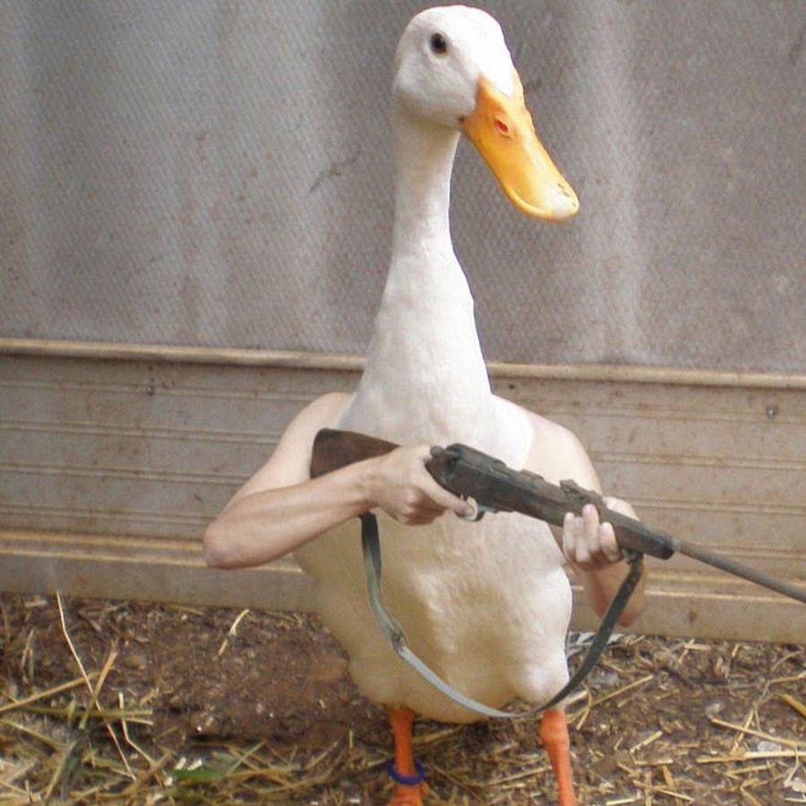 Ямаха гусь