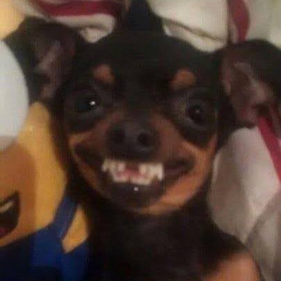 AKedOLT0SdYNlIyXRhGHm6FirXKjyO3t3EoH90nAVZwXFQ=s900ckc0x00ffffffnorj