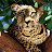 Leopard-King