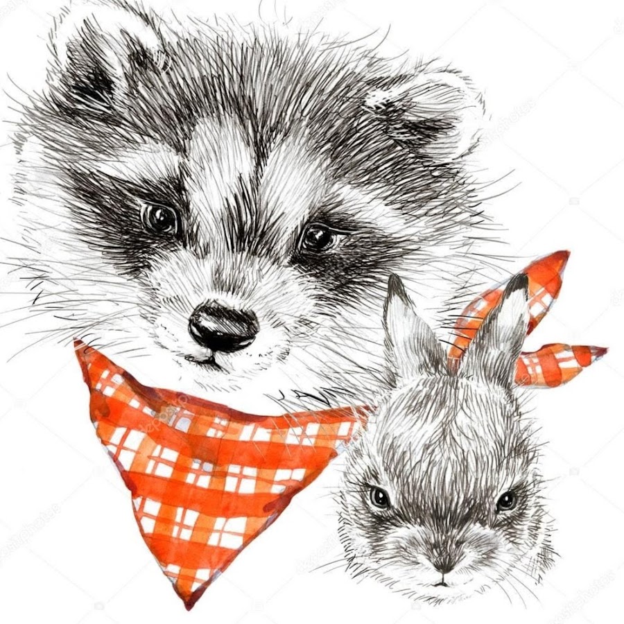 Енот заяц. Енот и лиса. Бобер и енот. Лисичка и енот. Енот и кролик.