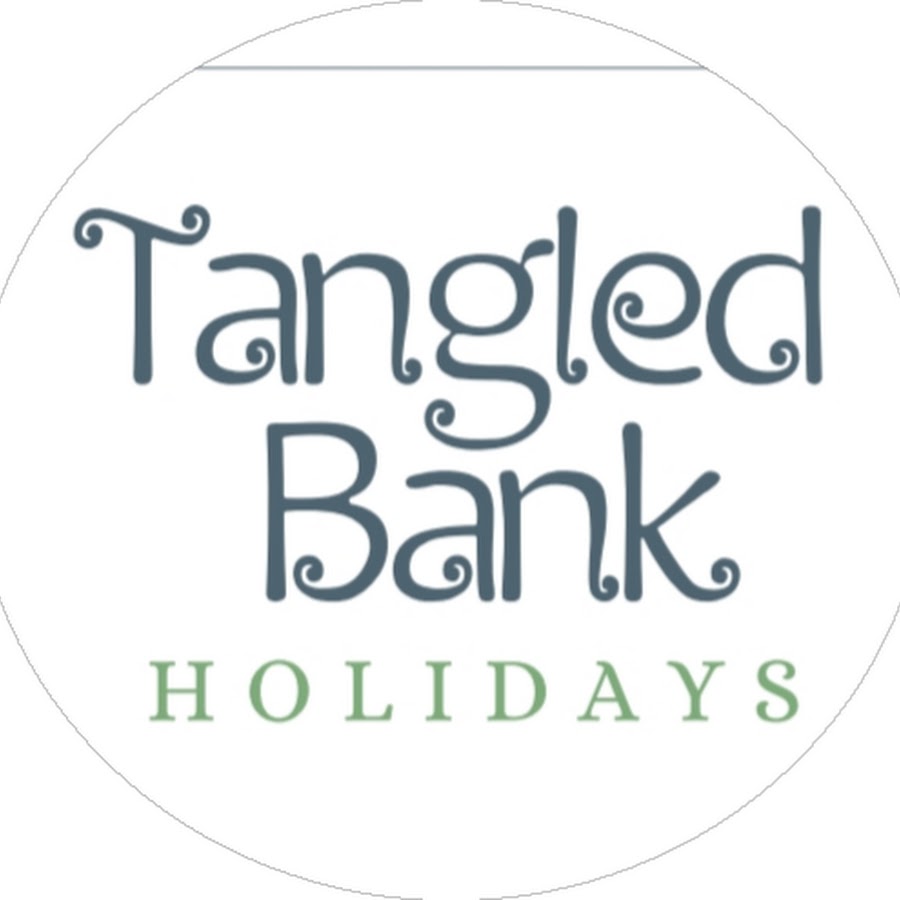 AKedOLT13qM247vpZ2klrgFBbQvc3M2jQ7DbJUTCFTe=s900ckc0x00ffffffnorj