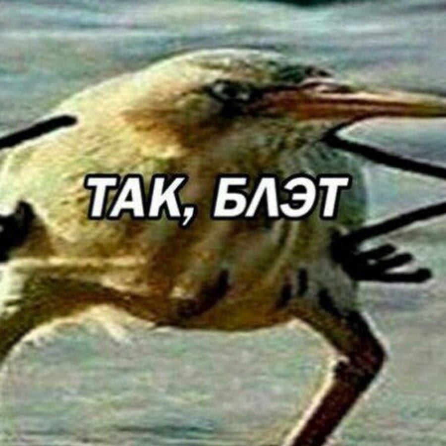 Так блять картинки