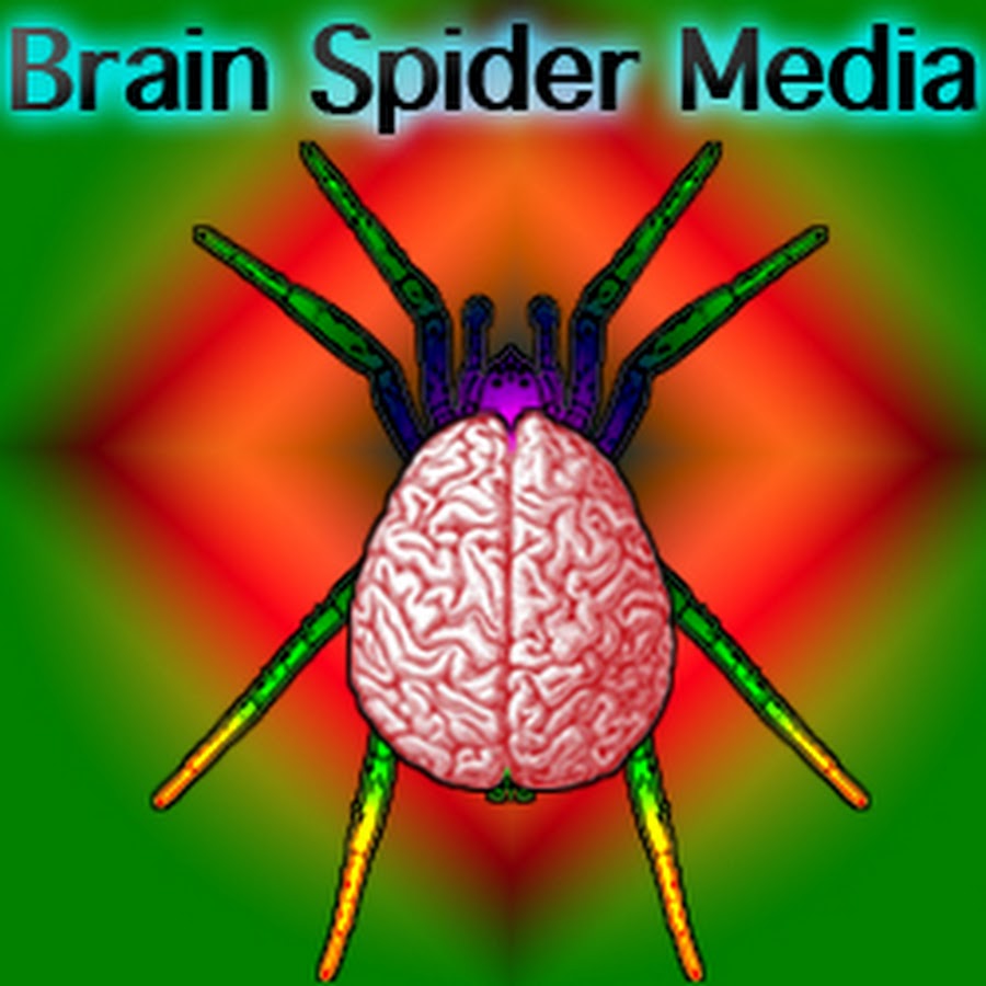 Пищеварительная система паука крестовика. Паукообразные пауки внутреннее строение. Строение крестовика. Внутренняя система паука крестовика. Покровная система паукообразных.