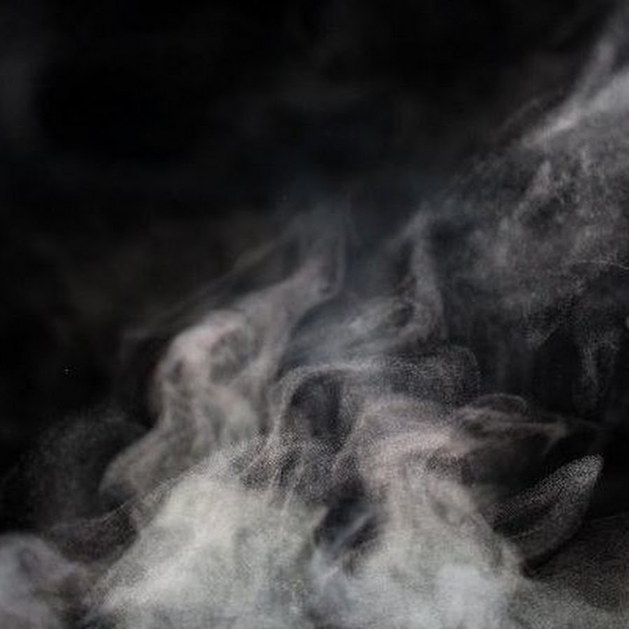 Собаки в дыму. Собаки в дыму. Собаки в дыму. Дымок пес. Краски холи собаки.