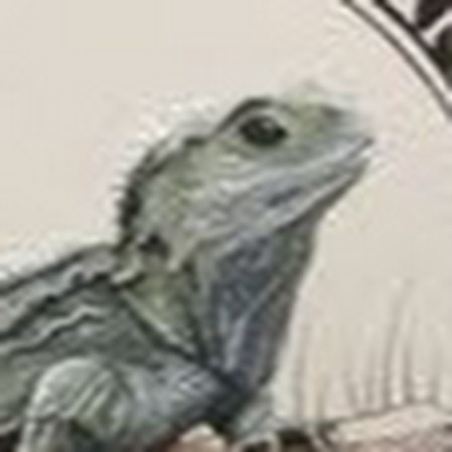 Tuatara Books Youtube