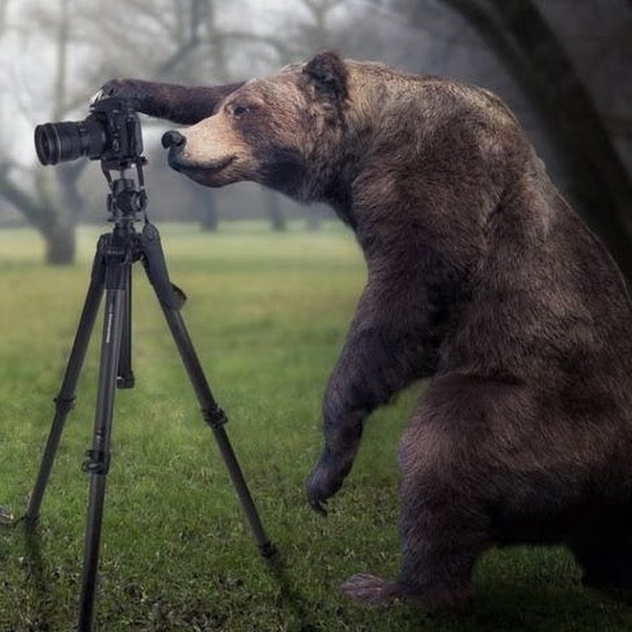 AKedOLT2LFl13PeYrIxY64sWPLwVYM07hOFi0iVY1svCAQ=s900-c-k-c0x00ffffff-no-rj