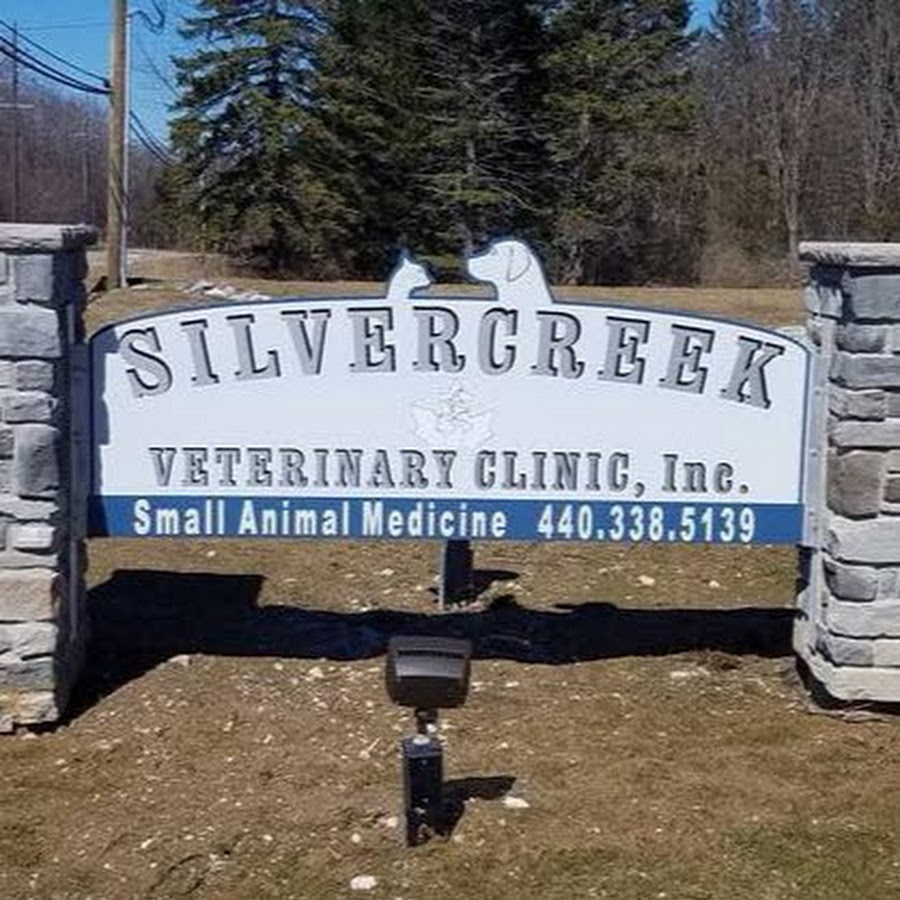 Silvercreek Veterinary Clinic Inc Youtube