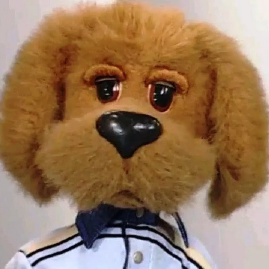 Пес филя из спокойной ночи малыши. Каркуша и степашка. Пес филя из спокойной ночи малыши. Где филя. Спокойной ночи малыши филя.