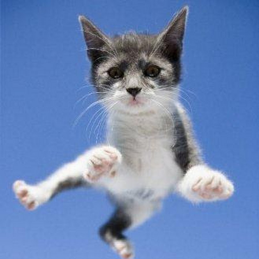 Я лечу к тебе. Я лечу к тебе. Стикеры слоненок. Пожелания удачного полета. Уже лечу.