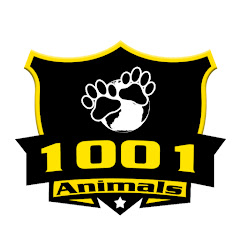 1001 Animals thumbnail