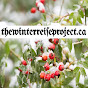 The Winterreise Project - @winterreiseproject YouTube Profile Photo