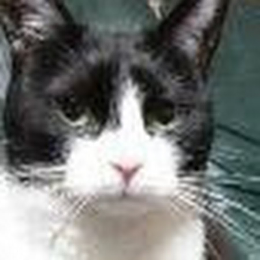 ピカチュウさん Youtube