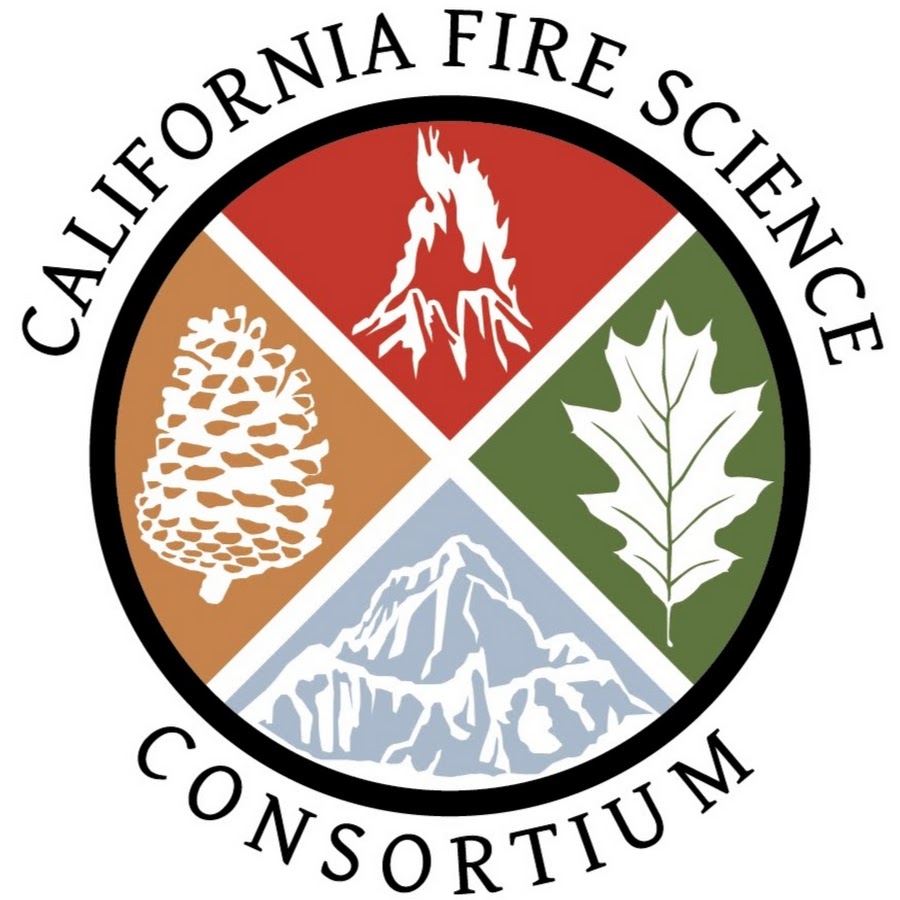 Fire science. Пожар в лаборатории. Fire science. Bachelor degree. Огонь в науке.