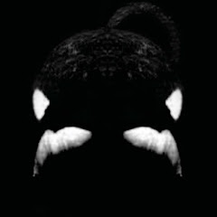 Blackfish thumbnail