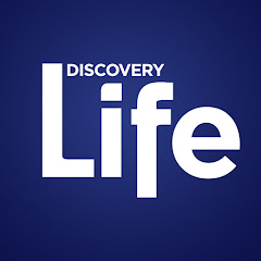 Discovery Life thumbnail