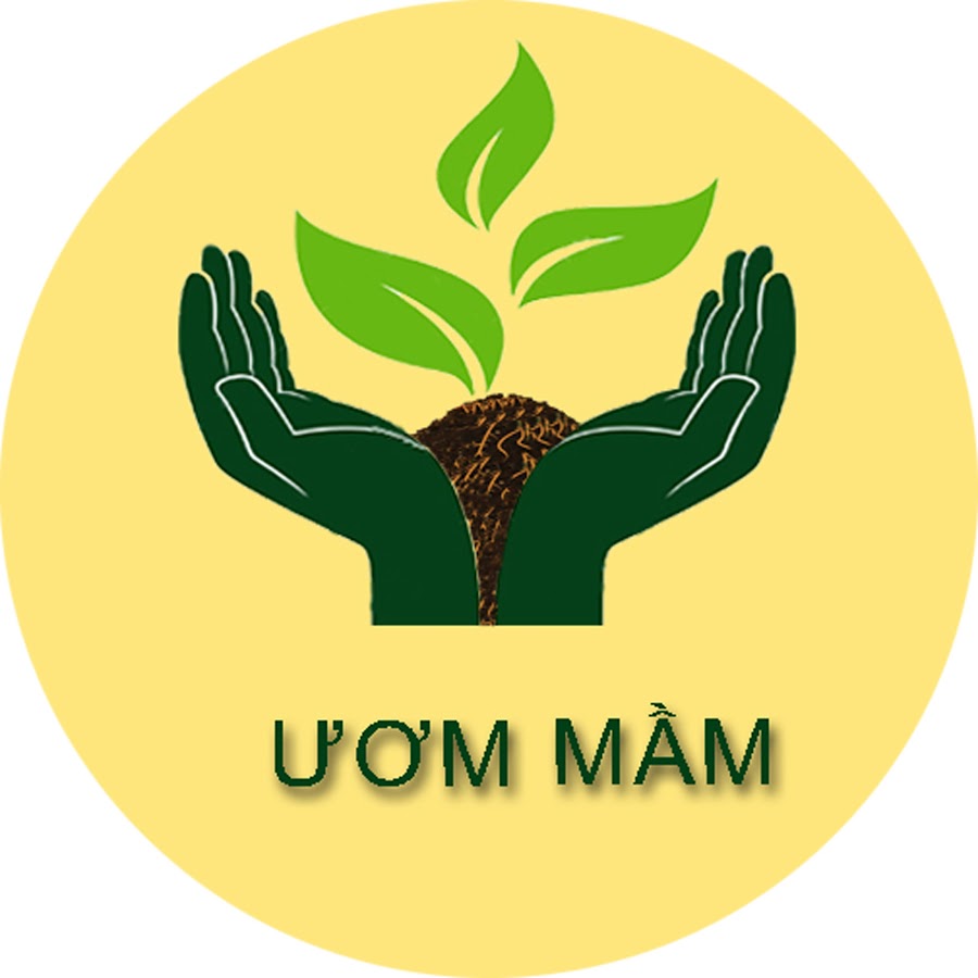 Ươm mầm tiểu học - YouTube