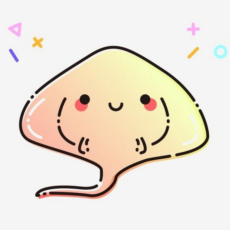 Sally Ngai - 網紅的藏寶箱 