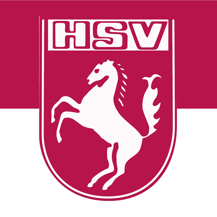 HSV-TV - YouTube