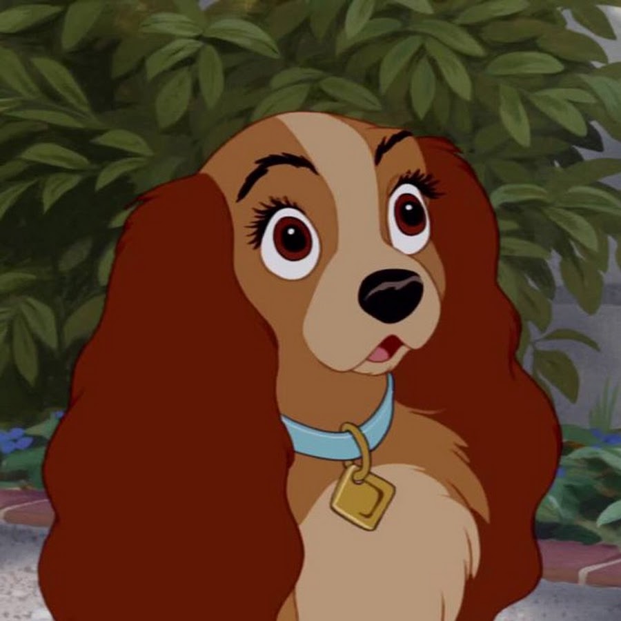 Леди собака. Как зовут собаку леди. Леди собака. Как зовут собаку леди. Как зовут собаку леди.