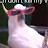 Cockatoo in Sunglasses
