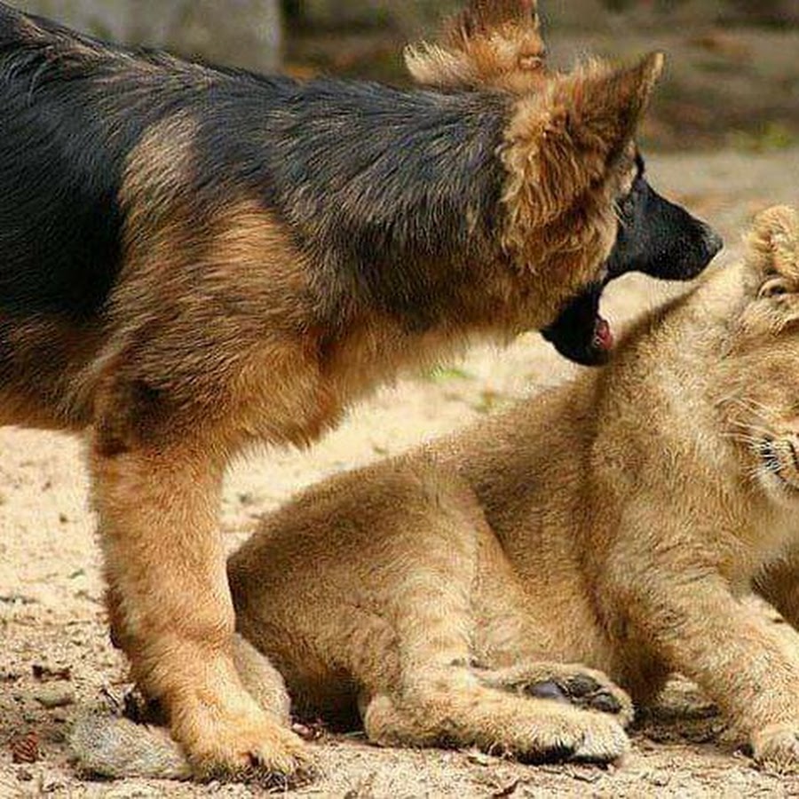 через пару месяцев