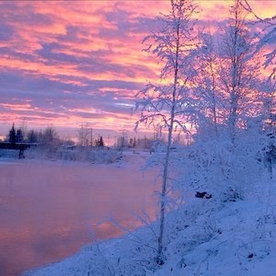 Бежит река в тумане тая слушать. Аляска зима закат. Зимняя Аляска. Аляска зима Дикая природа. Бежит река, в тумане тает... - Фото.
