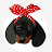 Dachshund [깜순 TV]