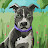 luisa khalidah Avatar
