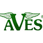 Aves Clay: Manufacturers of Fine Clays & Mache's YouTube Profile Photo