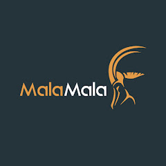 MalaMala Game Reserve Avatar