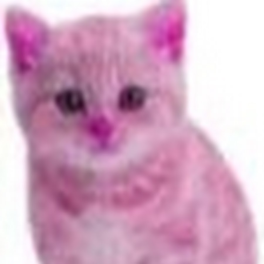 Кошка розовая глаза. Пинк Кэт. Розовый котенок. Кошка розового цвета. Котенок на розовом фоне.