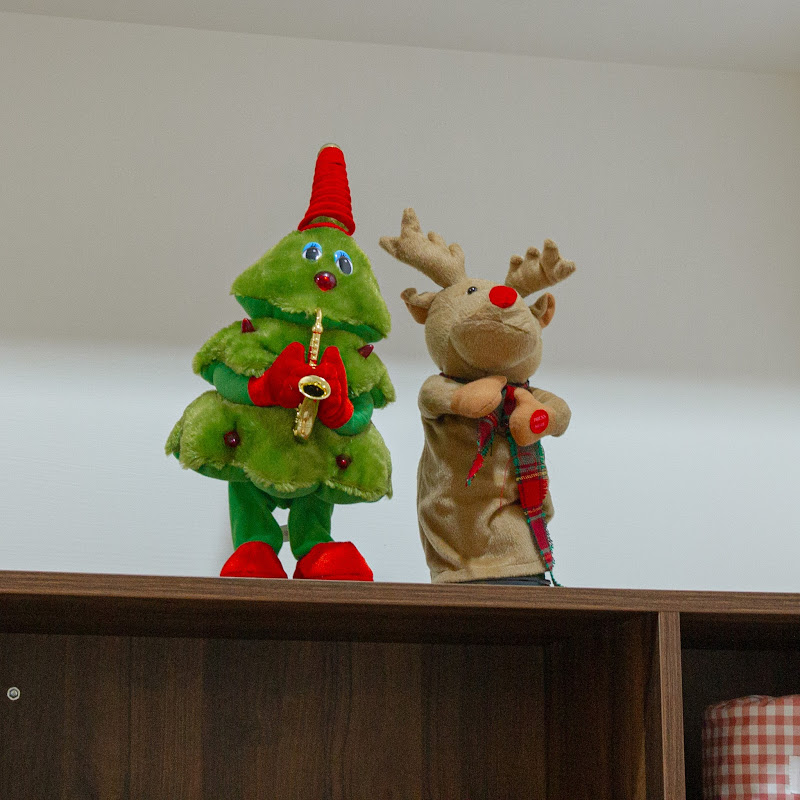 Amigo H. - 網紅的藏寶箱 