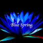 Blue Spring YouTube Profile Photo