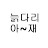 늙다리