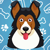 «Funny Animals' Life»