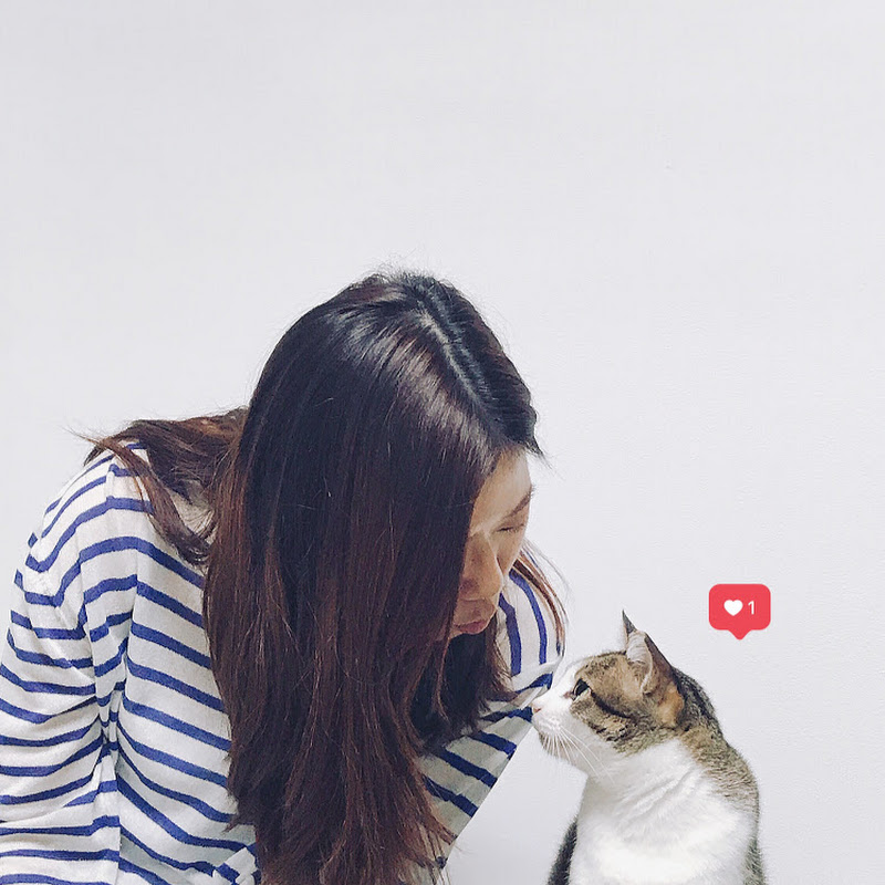 WINGLY NG - 網紅的藏寶箱 